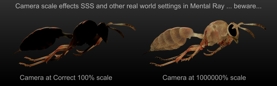 sss_and_camera_scale